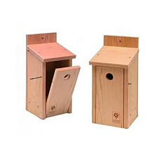 Solid Cedar Modern Bird Box