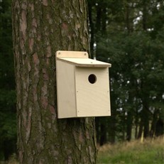 Bird Box Wooden DIY Kit with 32mm Hole