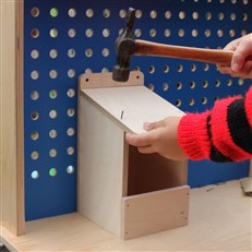 Bird Box Wooden DIY Kit with Open Front