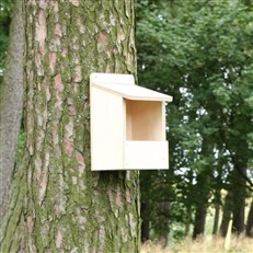 Bird Box Wooden DIY Kit with Open Front