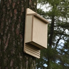 Bat Box Wooden DIY Kit