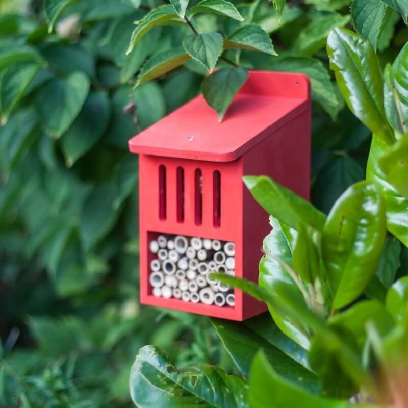 Bug Hotel Wooden DIY Self Assembly Insect House