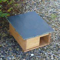 Hedgehog Shelter and Hibernation House