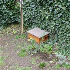 Hedgehog Hibernation House and Nest Box