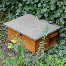 Hedgehog Hibernation House and Nest Box
