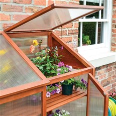 Hardwood Mini Greenhouse