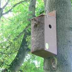 Red Squirrel Nest Box