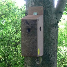 Red Squirrel Nest Box