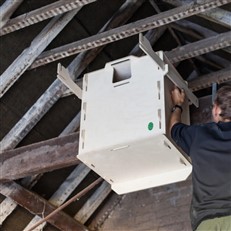 Interior Barn Owl Nest Box