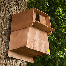 Barn Owl Nest Box