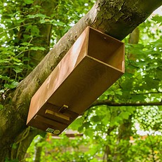 Tawny Owl Nest Tube box