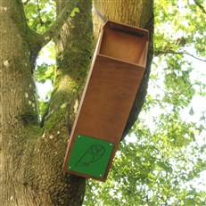Tawny Owl Nest Tube box
