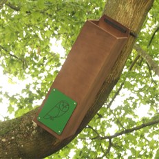 Tawny Owl Nest Tube box