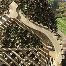 Jaipur Arbour with Eastern Influence