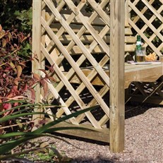 Lattice Back and Sides