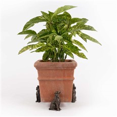 Springer Spaniel Garden Plant Pot Feet