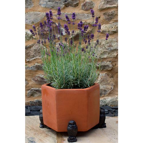 Owl Plant Pot Feet Risers Set of 3