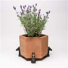 Horse Head Plant Pot Feet