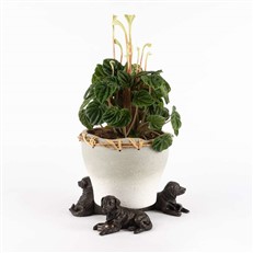 Resting Labrador Plant Pot Feet