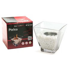 Pur Line Ptelea Tabletop Bio-ethanol Portable Lamp