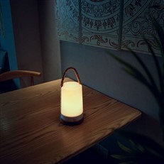 3.2W Portable Rechargeable Garden or Home LED Lantern