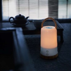 Portable Rechargeable Lantern with Colour Changing LED Light and Bluetooth Speaker