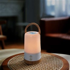 Portable Rechargeable Lantern with Colour Changing LED Light and Bluetooth Speaker