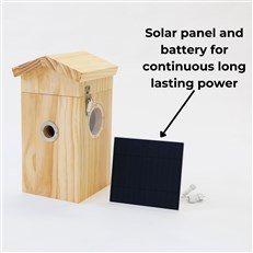 Solar Powered Wireless Bird Box Camera and Bird House with AI Bird Recognition camera