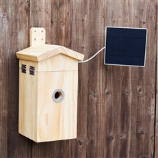 Solar Powered Wireless Bird Box Camera and Bird House with AI Bird Recognition camera