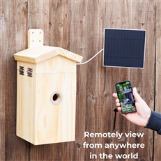 Solar Powered Wireless Bird Box Camera and Bird House with AI Bird Recognition camera