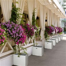 Poly Rattan Cube Garden Planter