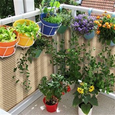 Artificial Poly Rattan Weave Privacy Screen Garden Fencing 2m High Walnut