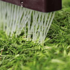 Astro Turf Brush