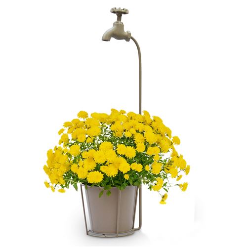 Rustic Tap Plant Pot