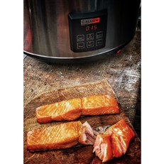 Digital Electric Smoker with Hot or Cold Smoke
