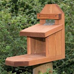 Squirrel Feeder