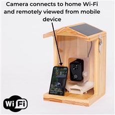 Solar Powered Wooden Bird Feeder with AI Bird Detection Smart WIFI Camera