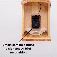 Solar Powered Wooden Bird Feeder with AI Bird Detection Smart WIFI Camera